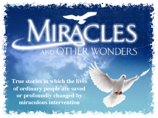 Miracles And Other Wonders