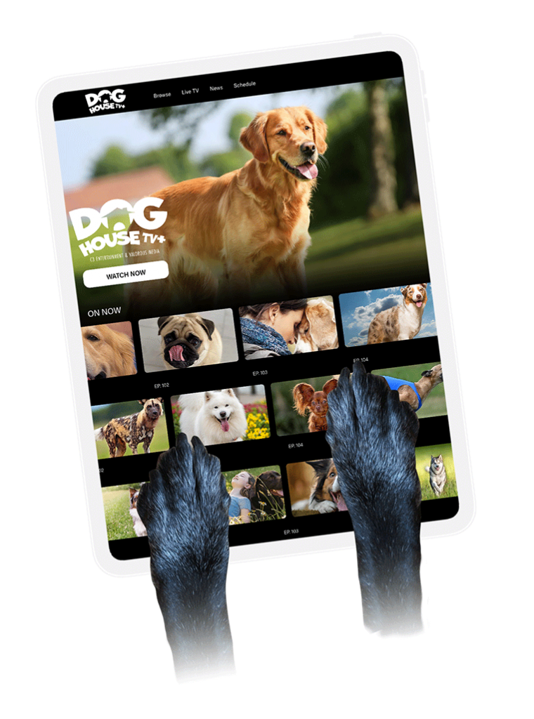 Dog House TV+ - C3 Entertainment, Inc.