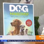 Dog Makeover