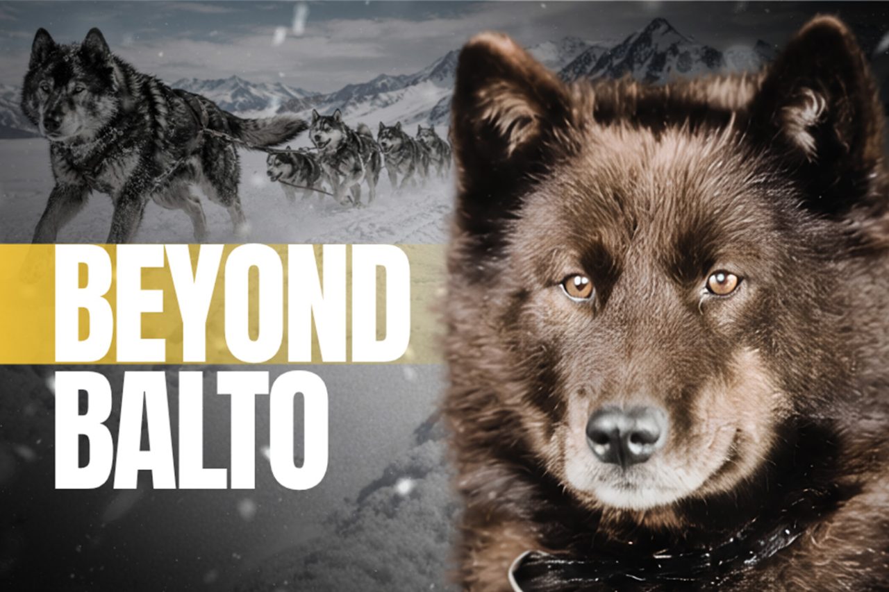 DogHouse TV+ Debuts New Original Series Stories From The Pack With Pilot Episode, Beyond Balto