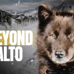 DogHouse TV+ Debuts New Original Series Stories From The Pack With Pilot Episode, Beyond Balto