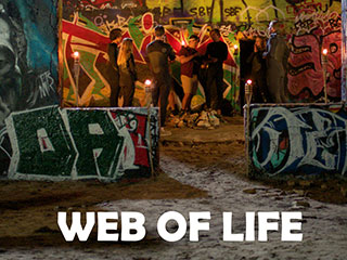 Web of Life
